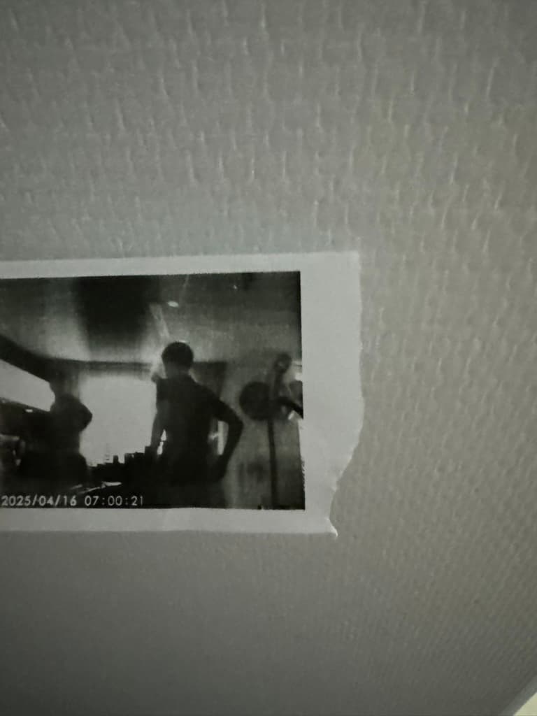 Polaroid