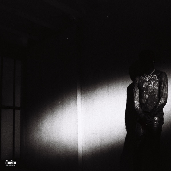 Album art for NO STYLIST by Destroy Lonely