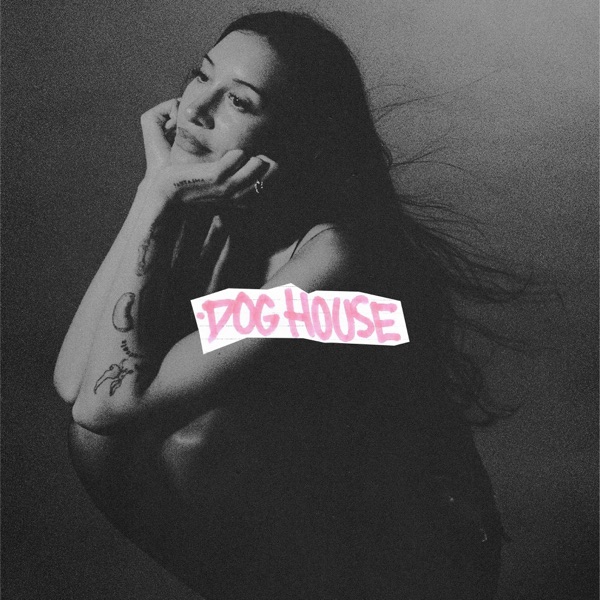 Album art for DOG HOUSE by Drake, Julia Wolf & Yeat
