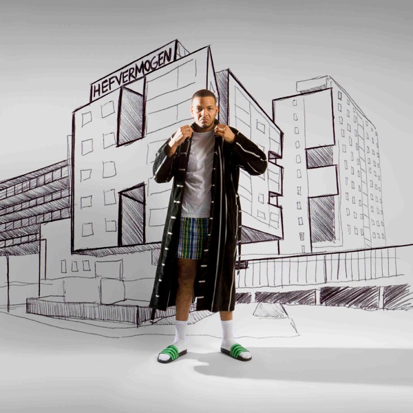 Album art for Moeilijk by Hef