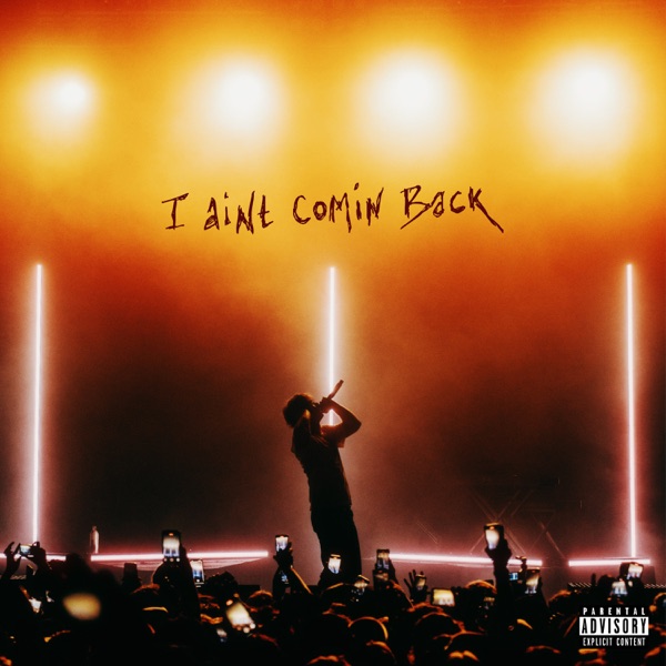 Album art for I Ain't Coming Back by ian