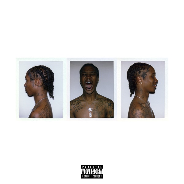 Album art for Amazing by Nine Vicious