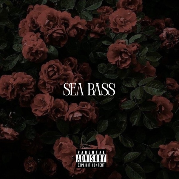 Album art for Sea bass by NTF33