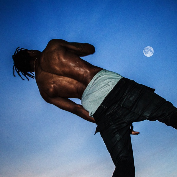 Album art for Backyard by Travis Scott